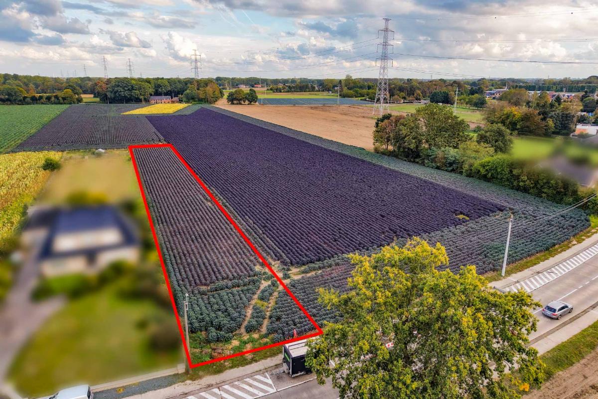 Presentatiebeeld van het pand n° 302722