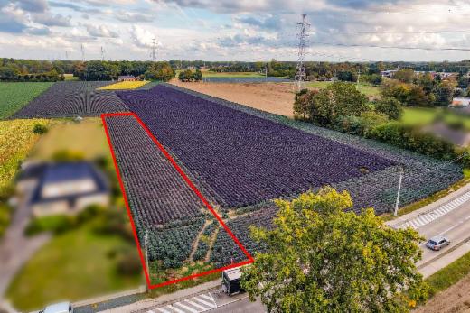 Presentatiebeeld van het pand n° 302722