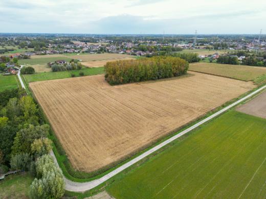 Tweede alternatieve foto van het pand