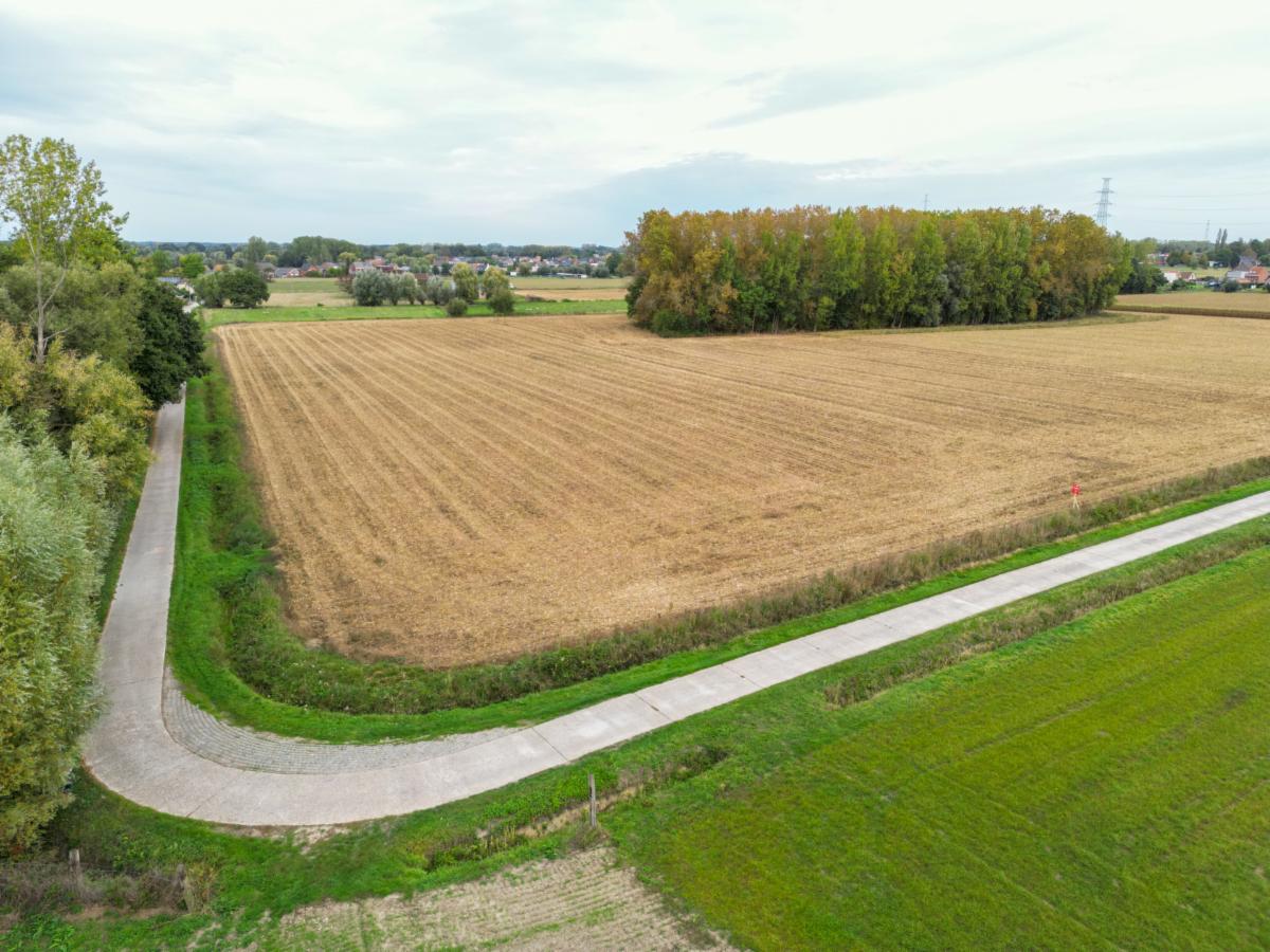 Presentatiebeeld van het pand n° 302726