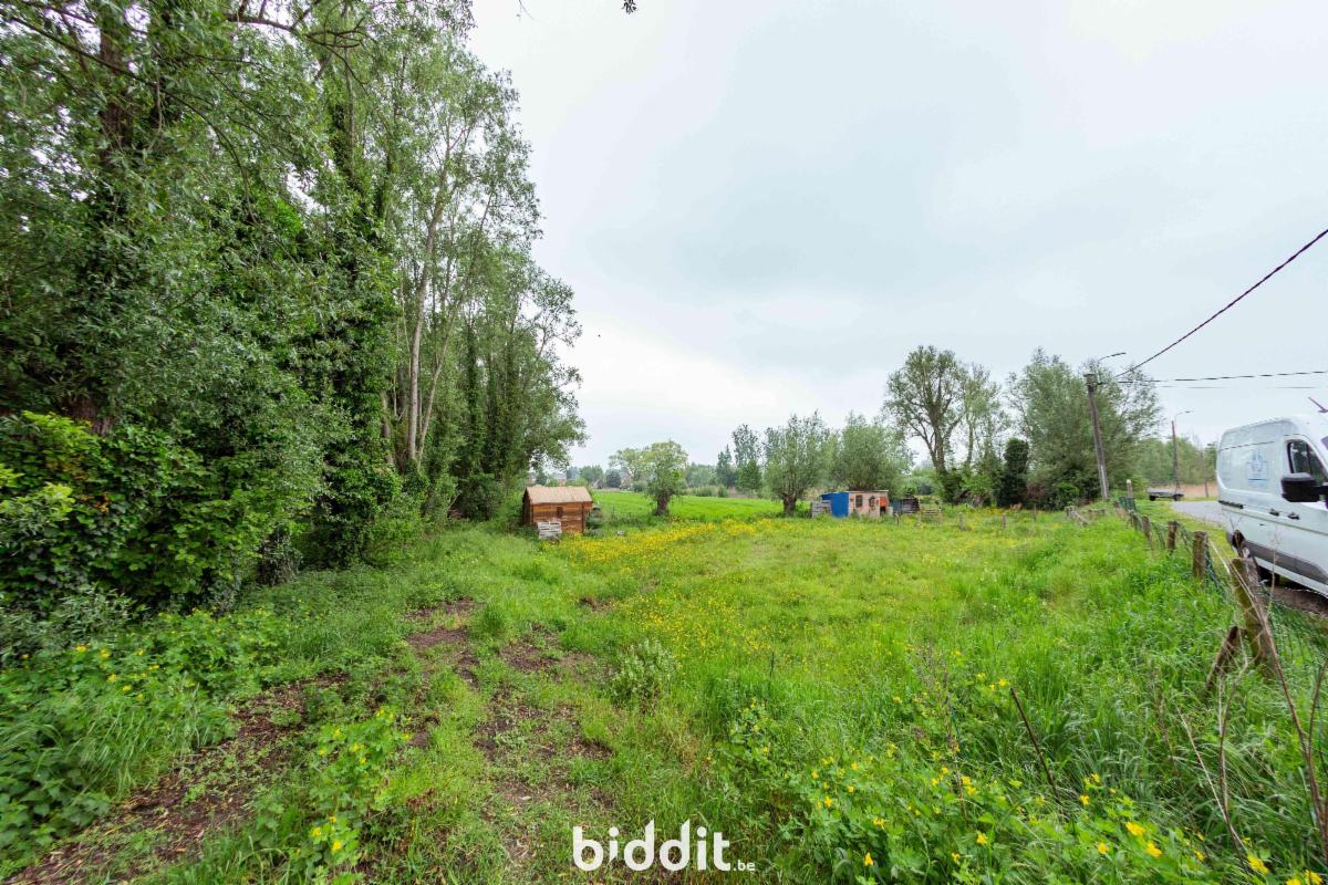 Presentatiebeeld van het pand n° 297731