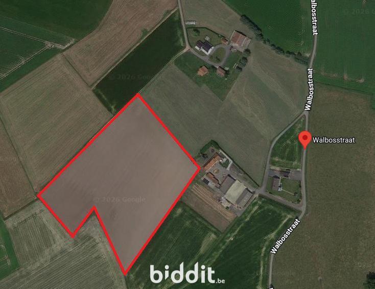 Presentatiebeeld van het pand n° 298565