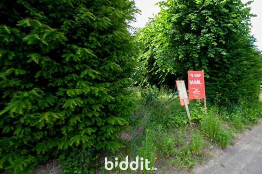 Eerste alternatieve foto van het pand