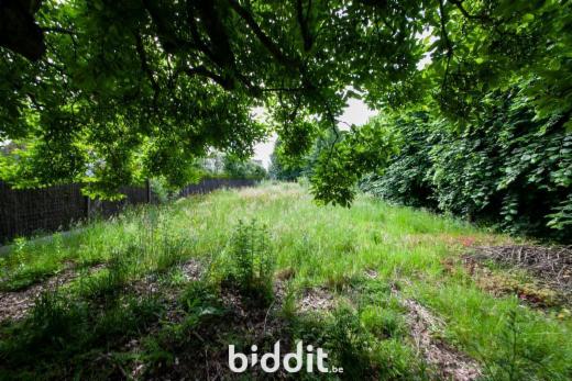 Derde alternatieve foto van het pand