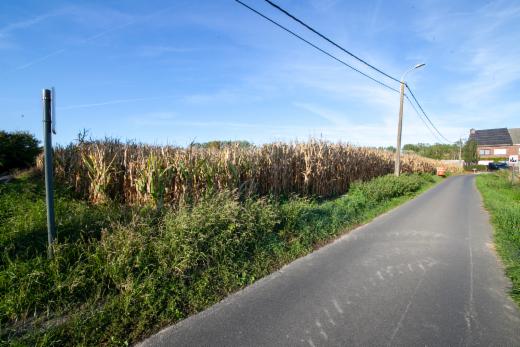 Eerste alternatieve foto van het pand