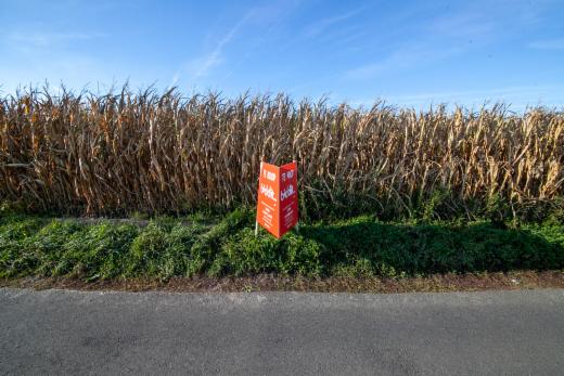 Tweede alternatieve foto van het pand