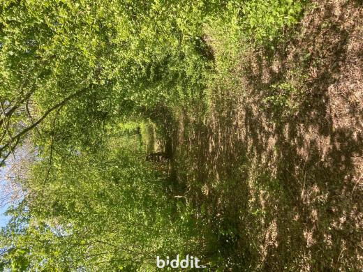 Tweede alternatieve foto van het pand