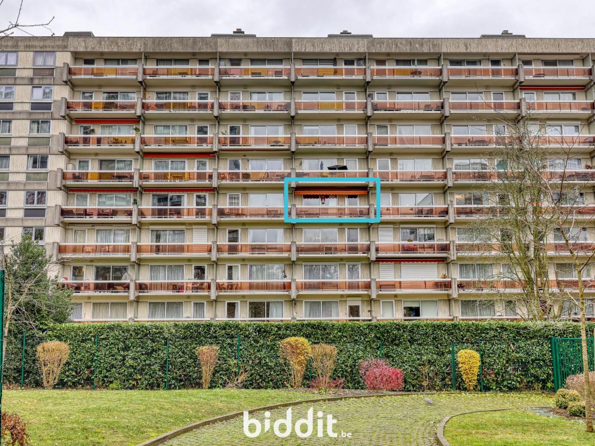 Presentatiebeeld van het pand n° 290698