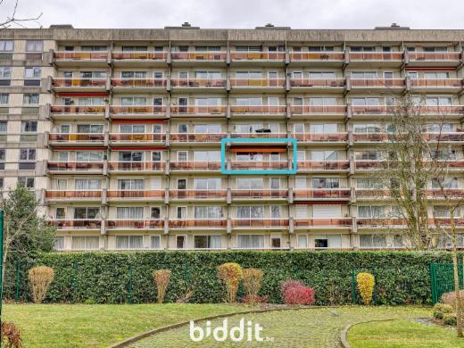 Presentatiebeeld van het pand n° 290698