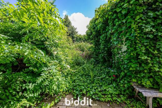 Derde alternatieve foto van het pand