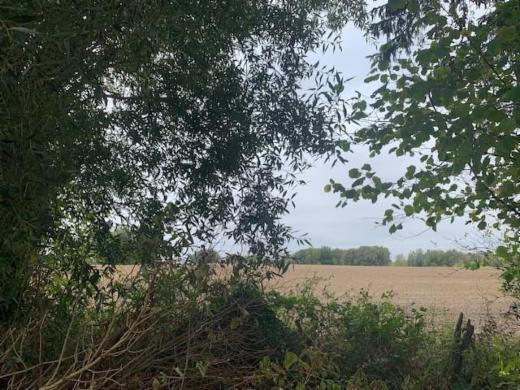 Derde alternatieve foto van het pand