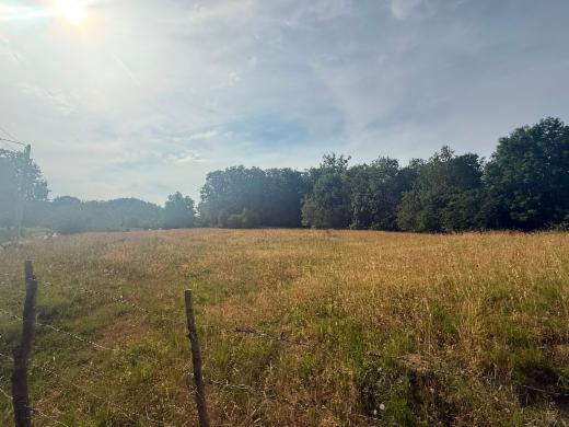 Tweede alternatieve foto van het pand