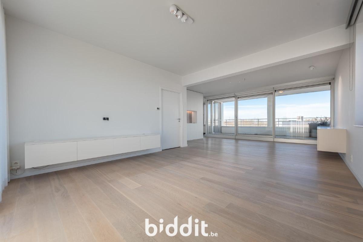 Presentatiebeeld van het pand n° 294503