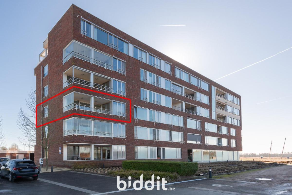 Presentatiebeeld van het pand n° 294503