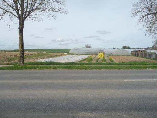 Presentatiebeeld van het pand n° 295264