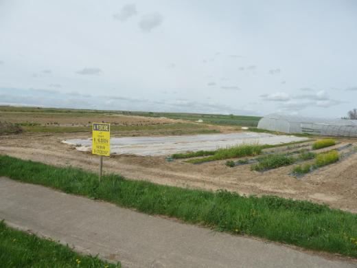 Derde alternatieve foto van het pand