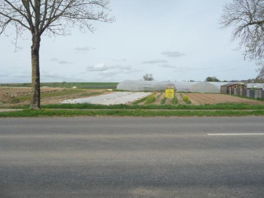 Presentatiebeeld van het pand n° 302849