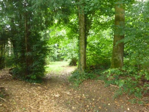 Tweede alternatieve foto van het pand