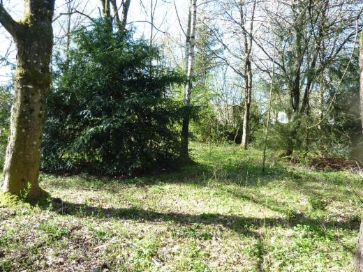 Presentatiebeeld van het pand n° 289215