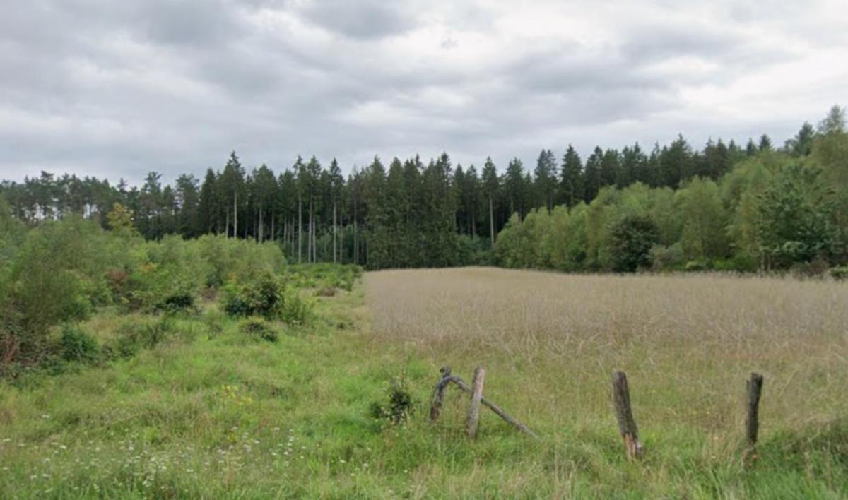 Presentatiebeeld van het pand n° 293480