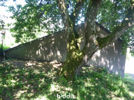 Eerste alternatieve foto van het pand