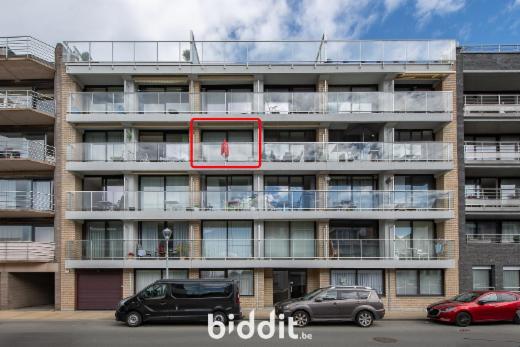 Presentatiebeeld van het pand n° 285248