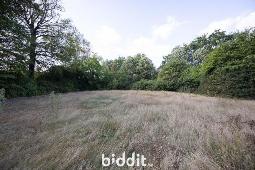 Tweede alternatieve foto van het pand