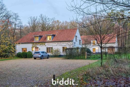 Presentatiebeeld van het pand n° 290897