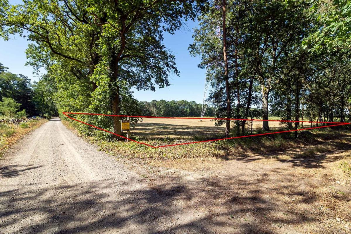 Presentatiebeeld van het pand n° 299503