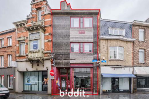 Presentatiebeeld van het pand n° 295099