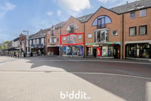 Presentatiebeeld van het pand n° 297709