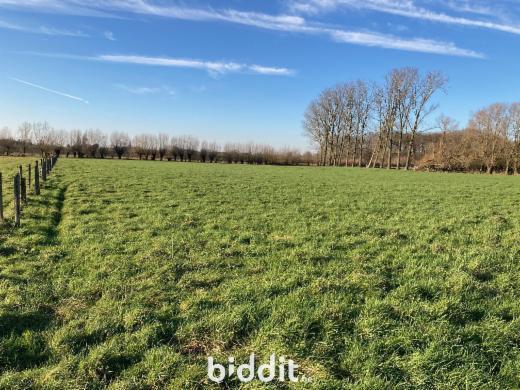 Eerste alternatieve foto van het pand