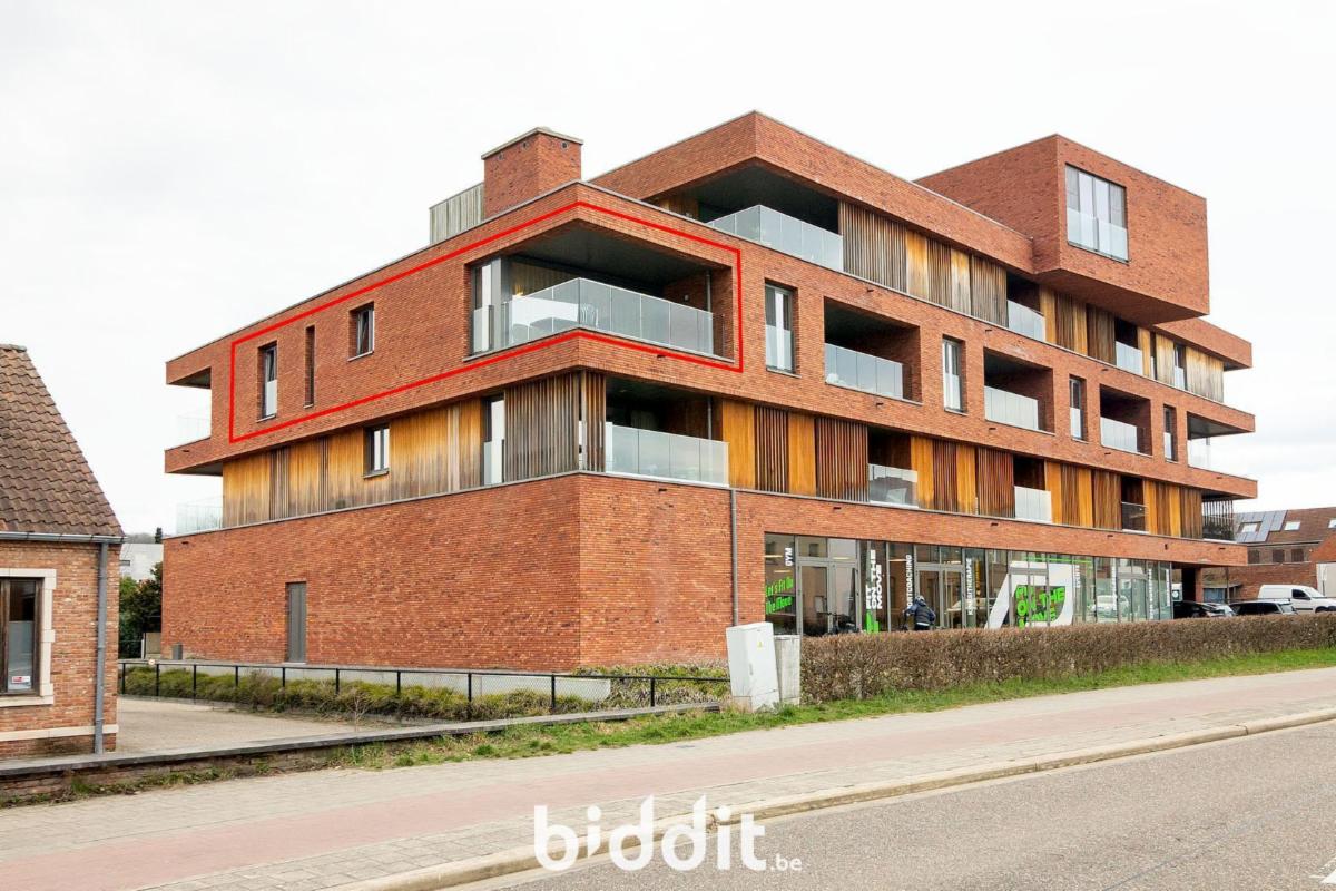 Presentatiebeeld van het pand n° 294020