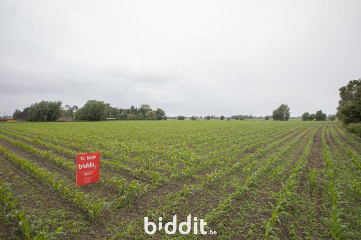 Presentatiebeeld van het pand n° 297797