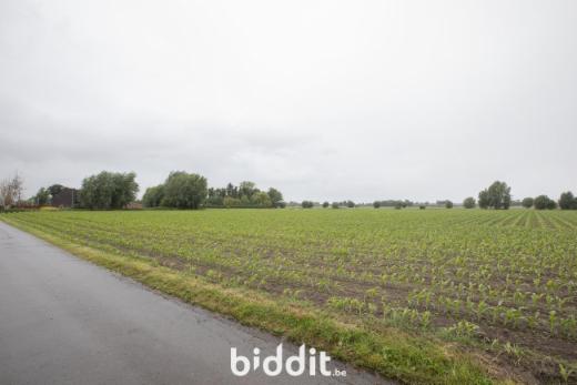 Tweede alternatieve foto van het pand