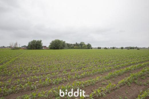 Derde alternatieve foto van het pand