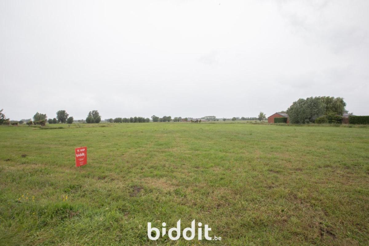 Presentatiebeeld van het pand n° 297798