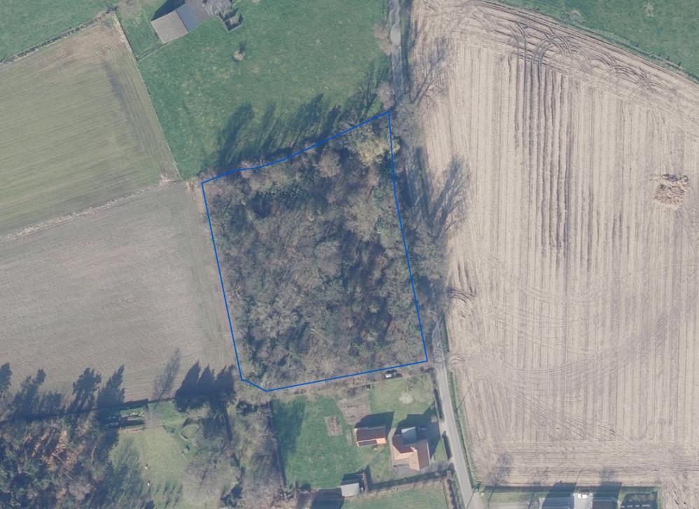 Presentatiebeeld van het pand n° 298466