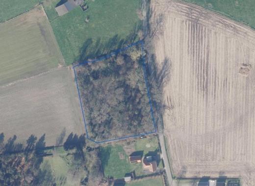 Presentatiebeeld van het pand n° 298466