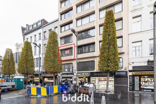 Presentatiebeeld van het pand n° 289687