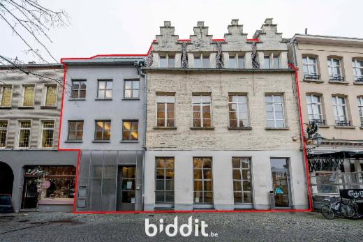 Presentatiebeeld van het pand n° 295342