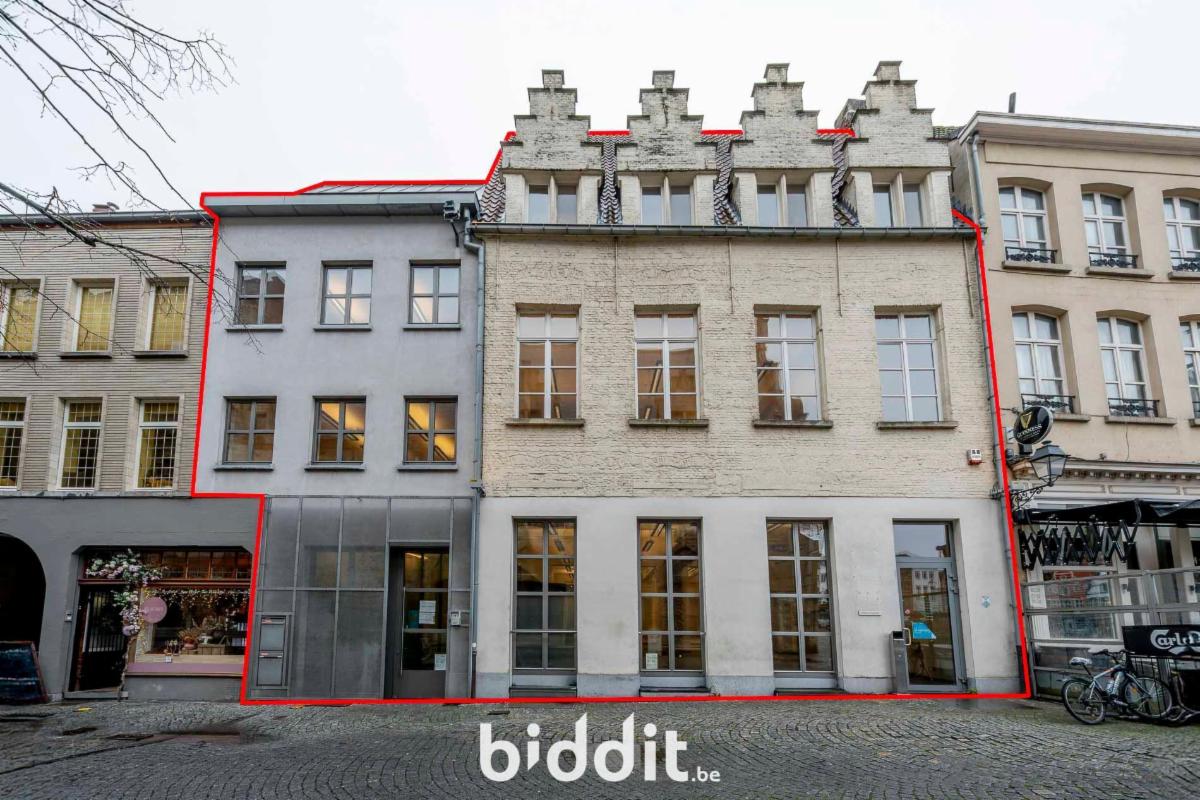 Presentatiebeeld van het pand n° 299956
