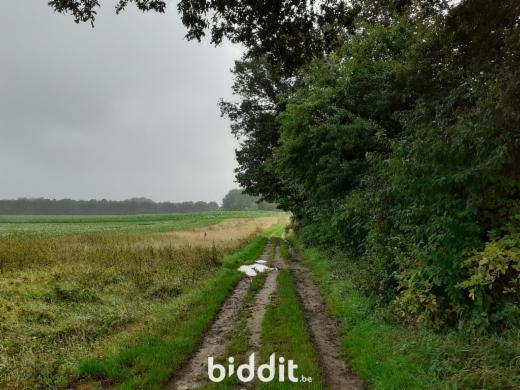 Tweede alternatieve foto van het pand