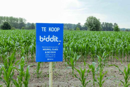 Presentatiebeeld van het pand n° 284374