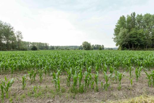 Derde alternatieve foto van het pand