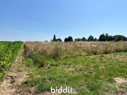 Eerste alternatieve foto van het pand