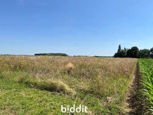 Derde alternatieve foto van het pand
