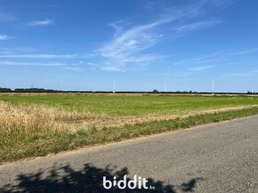 Eerste alternatieve foto van het pand