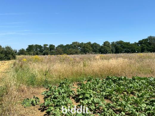 Eerste alternatieve foto van het pand