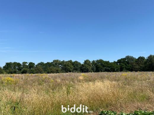 Derde alternatieve foto van het pand